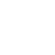 交易SFM安全吗？